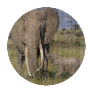 Cutest Baby Animals Amama Elephant With Baby Cutting Board