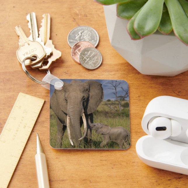Cutest Baby Animals | Amama Elephant With Baby Key Ring (Desk)
