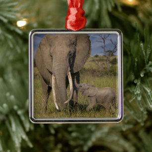 Cutest Baby Animals Amama Elephant With Baby Metal Ornament