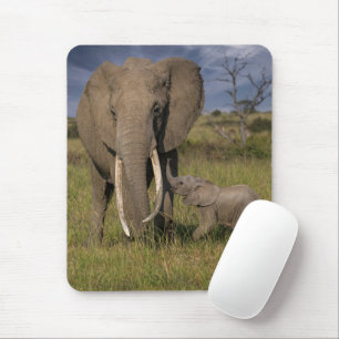 Cutest Baby Animals Amama Elephant With Baby Mouse Pad