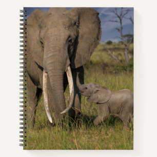 Cutest Baby Animals   Amama Elephant With Baby Notebook
