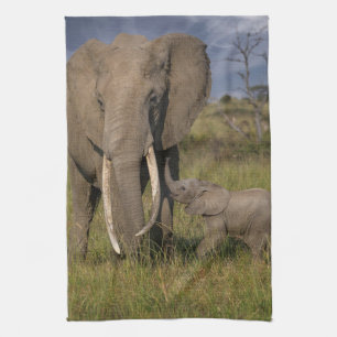 Cutest Baby Animals Amama Elephant With Baby Tea Towel