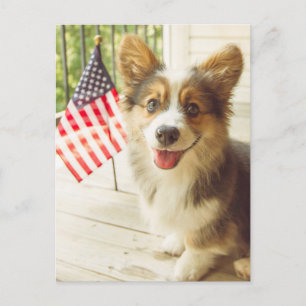 Cutest Baby Animals   American Flag Corgi Postcard