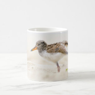 Cutest Baby Animals   American Oystercatcher Chick Coffee Mug