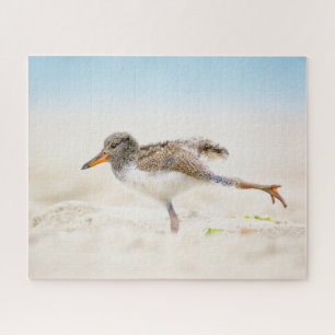 Cutest Baby Animals   American Oystercatcher Chick Jigsaw Puzzle