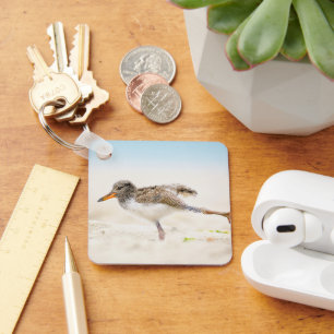 Cutest Baby Animals American Oystercatcher Chick Key Ring