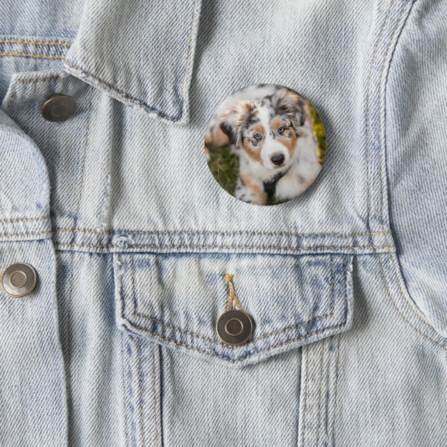 Cutest Baby Animals | Australian Shepherd Puppy 6 Cm Round Badge (In Situ)