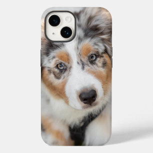 Cutest Baby Animals   Australian Shepherd Puppy Case-Mate iPhone 14 Case
