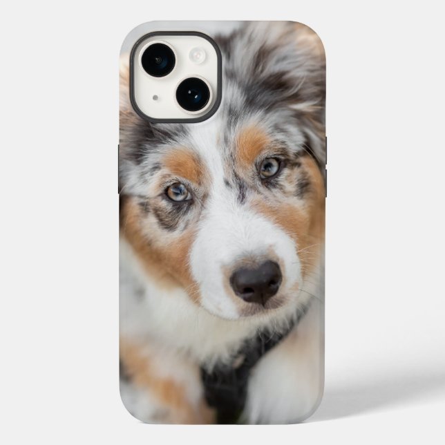 Cutest Baby Animals | Australian Shepherd Puppy Case-Mate iPhone Case (Back)
