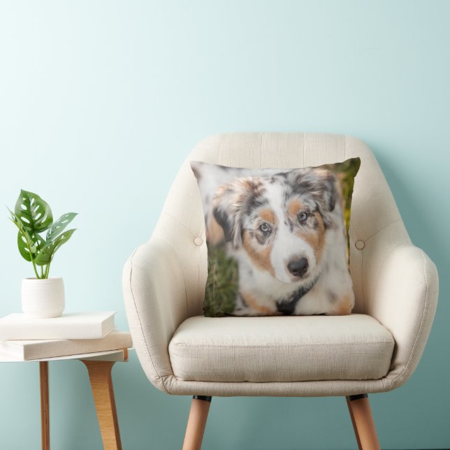Cutest Baby Animals | Australian Shepherd Puppy Cushion (Chair)
