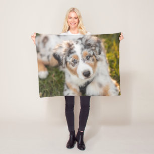 Cutest Baby Animals   Australian Shepherd Puppy Fleece Blanket
