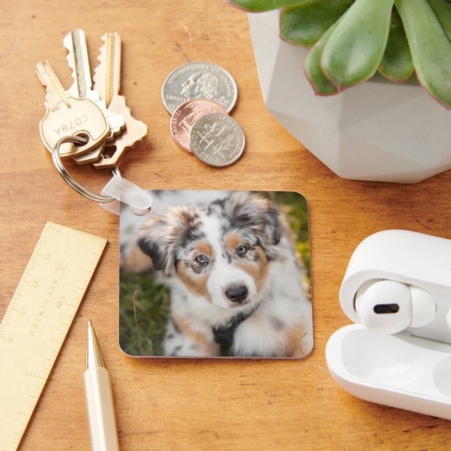 Cutest Baby Animals | Australian Shepherd Puppy Key Ring (Desk)