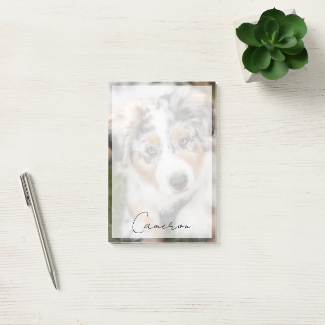 Cutest Baby Animals | Australian Shepherd Puppy Post-it Notes (Office)