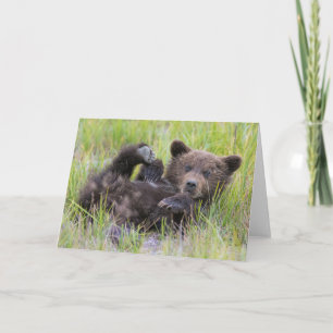 Cutest Baby Animals   Baby Brown Bear Cub Card