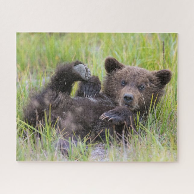Cutest Baby Animals | Baby Brown Bear Cub Jigsaw Puzzle (Horizontal)