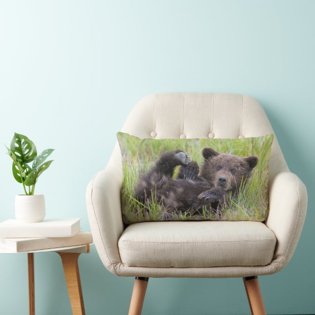 Cutest Baby Animals | Baby Brown Bear Cub Lumbar Cushion (Chair)