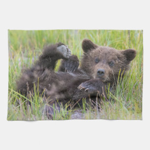Cutest Baby Animals   Baby Brown Bear Cub Tea Towel
