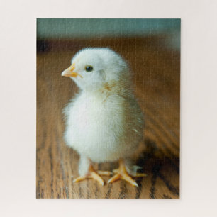Cutest Baby Animals   Baby Chick Jigsaw Puzzle