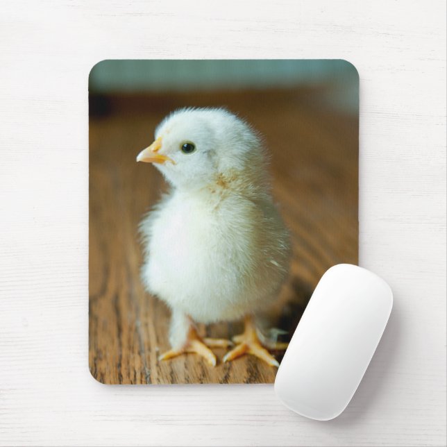 Cutest Baby Animals | Baby Chick Mouse Pad (With Mouse)