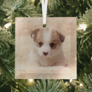 Cutest Baby Animals   Baby Corgi Glass Tree Decoration
