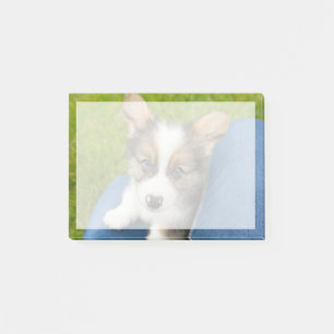 Cutest Baby Animals Baby Corgi in My Lap Post-it Notes