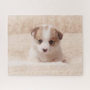 Cutest Baby Animals   Baby Corgi Jigsaw Puzzle