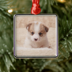 Cutest Baby Animals Baby Corgi Metal Ornament