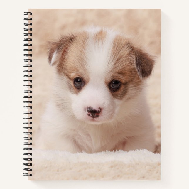 Cutest Baby Animals | Baby Corgi Notebook (Front)