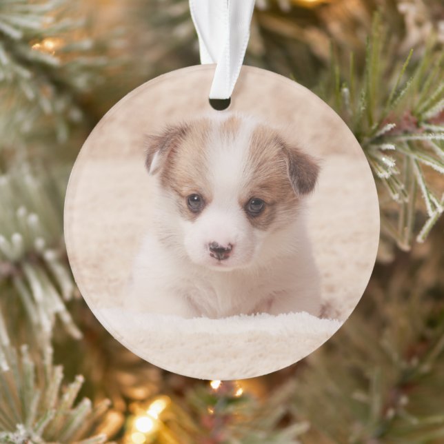 Cutest Baby Animals | Baby Corgi Ornament (Tree)