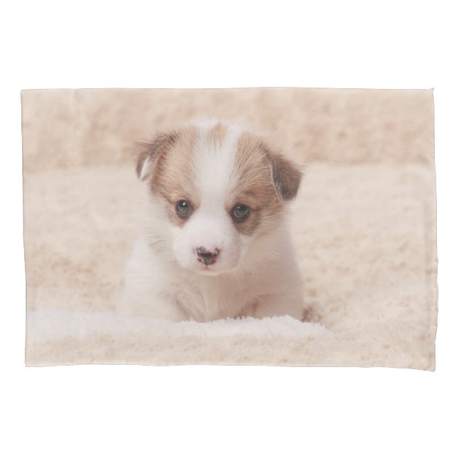 Cutest Baby Animals | Baby Corgi Pillowcase (Front)