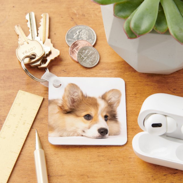 Cutest Baby Animals | Baby Corgi Puppy Portrait Key Ring (Desk)