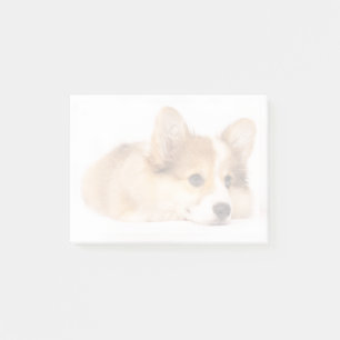 Cutest Baby Animals Baby Corgi Puppy Portrait Post-it Notes