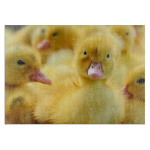 Cutest Baby Animals Baby Duck Group Cutting Board