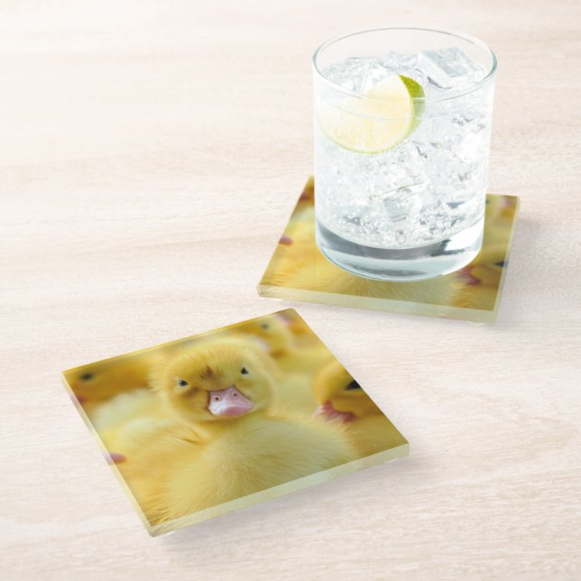 Cutest Baby Animals | Baby Duck Group Glass Coaster (Angled)