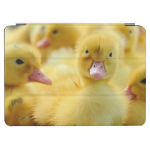 Cutest Baby Animals   Baby Duck Group iPad Air Cover