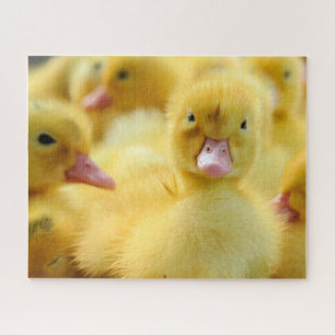 Cutest Baby Animals   Baby Duck Group Jigsaw Puzzle