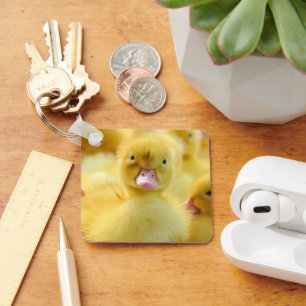 Cutest Baby Animals   Baby Duck Group Key Ring