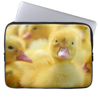Cutest Baby Animals | Baby Duck Group