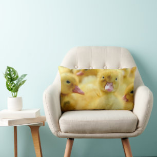 Cutest Baby Animals   Baby Duck Group Lumbar Cushion