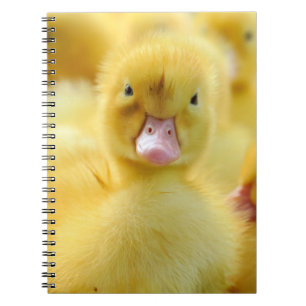 Cutest Baby Animals Baby Duck Group Notebook