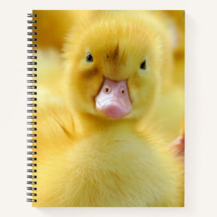 Cutest Baby Animals Baby Duck Group Notebook