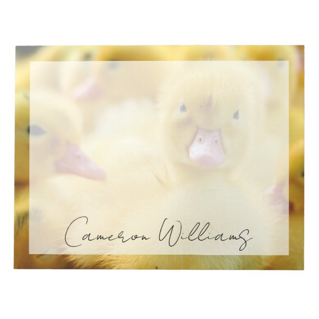 Cutest Baby Animals | Baby Duck Group Notepad (Front)