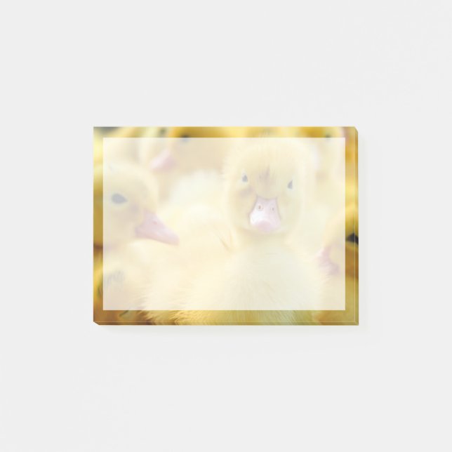 Cutest Baby Animals | Baby Duck Group Post-it Notes (Front)