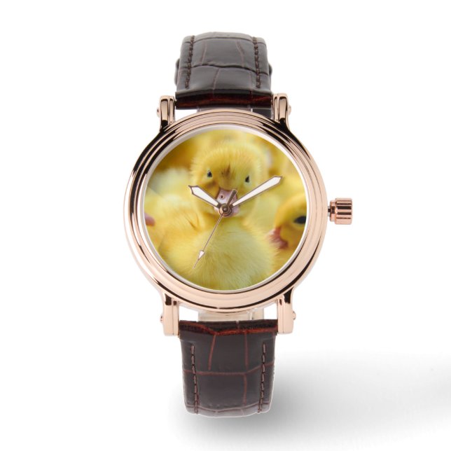 Cutest Baby Animals | Baby Duck Group Watch (Front)