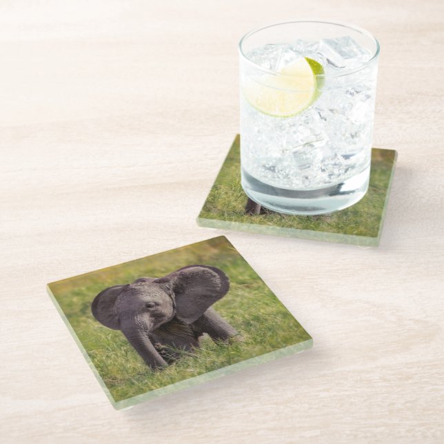 Cutest Baby Animals | Baby Elephant Kenya Africa Glass Coaster (Angled)