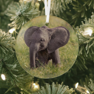Cutest Baby Animals Baby Elephant Kenya Africa Glass Tree Decoration