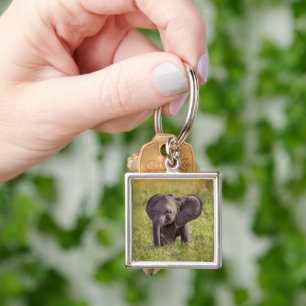 Cutest Baby Animals   Baby Elephant Kenya Africa Key Ring