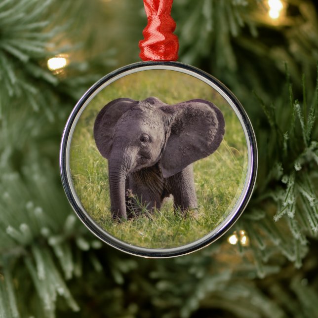 Cutest Baby Animals | Baby Elephant Kenya Africa Metal Ornament (Tree)