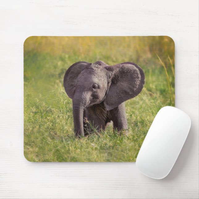 Cutest Baby Animals | Baby Elephant Kenya Africa Mouse Pad (With Mouse)