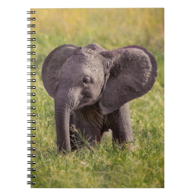 Cutest Baby Animals | Baby Elephant Kenya Africa Notebook (Front)